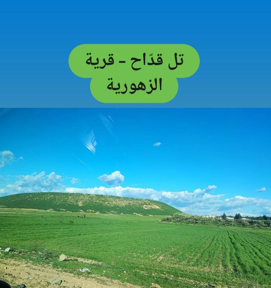 تل قداح